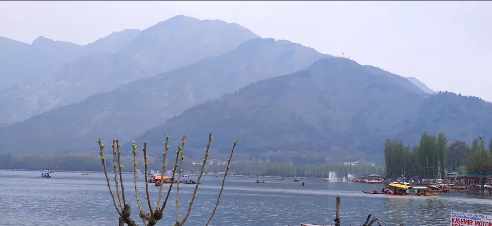 Photo of Dal Lake by Priya Kotecha