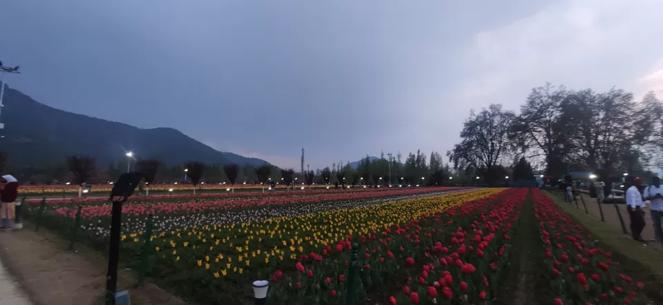 Photo of Dal Lake by Priya Kotecha