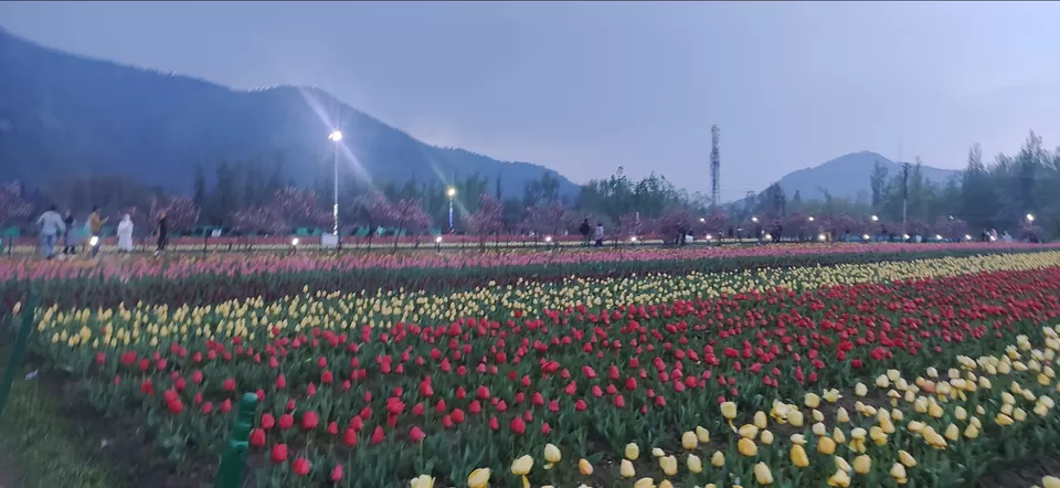 Photo of Dal Lake by Priya Kotecha