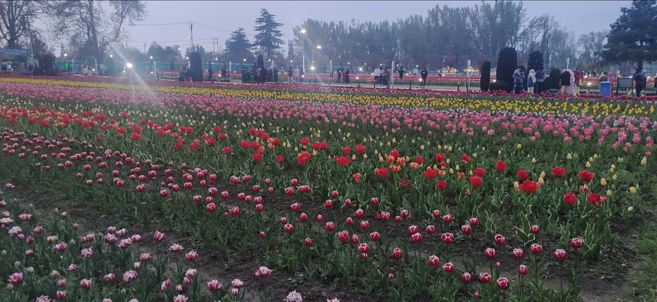 Photo of Dal Lake by Priya Kotecha
