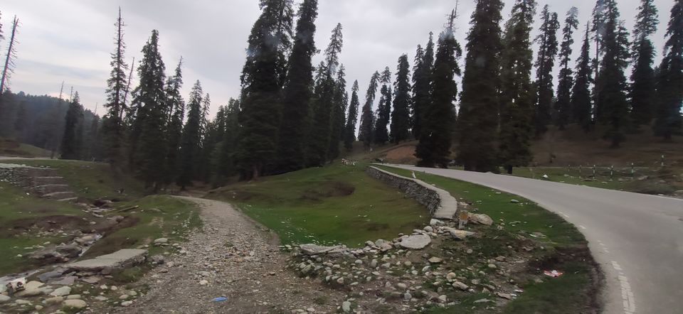 Photo of Gulmarg by Priya Kotecha
