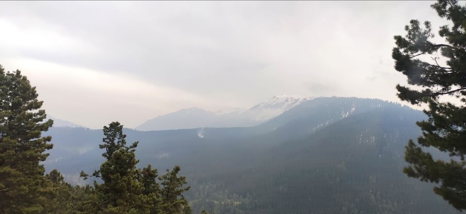 Photo of Gulmarg by Priya Kotecha