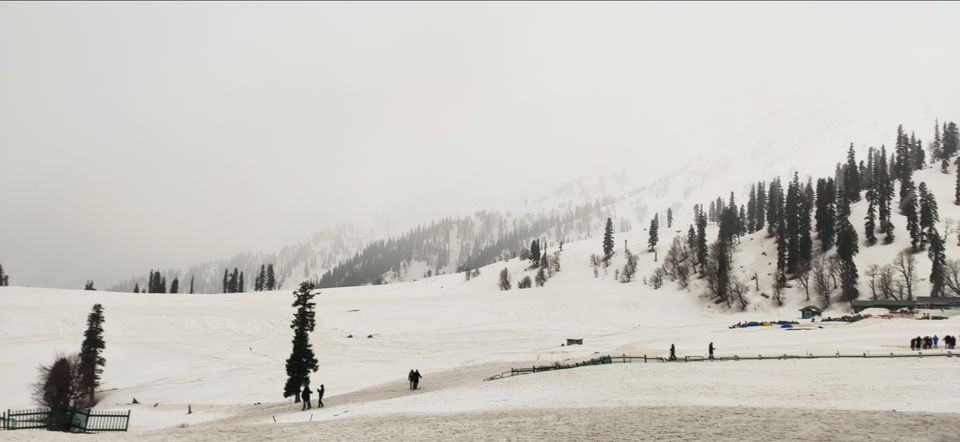 Photo of Gulmarg by Priya Kotecha