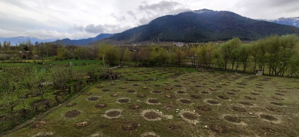 Photo of Pahalgam by Priya Kotecha