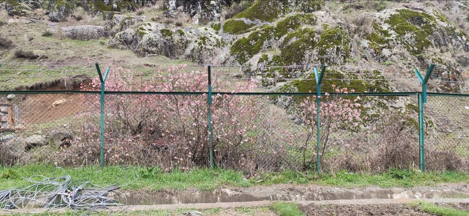 Photo of Pahalgam by Priya Kotecha