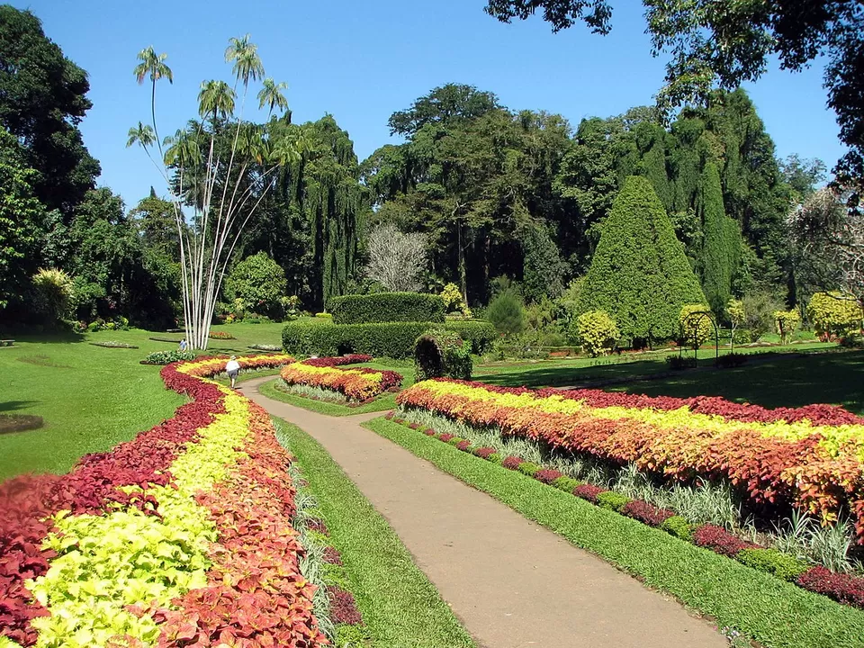 Photo of Royal Botanic Gardens, Peradeniya Road, Kandy, Sri Lanka by Neetu Banthia