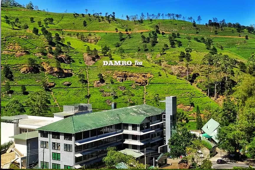 Photo of Damro Labookellie Tea Lounge, A5, Sri Lanka by Neetu Banthia