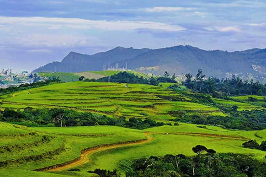 Photo of Moon Plains, Nuwara Eliya, Sri Lanka by Neetu Banthia