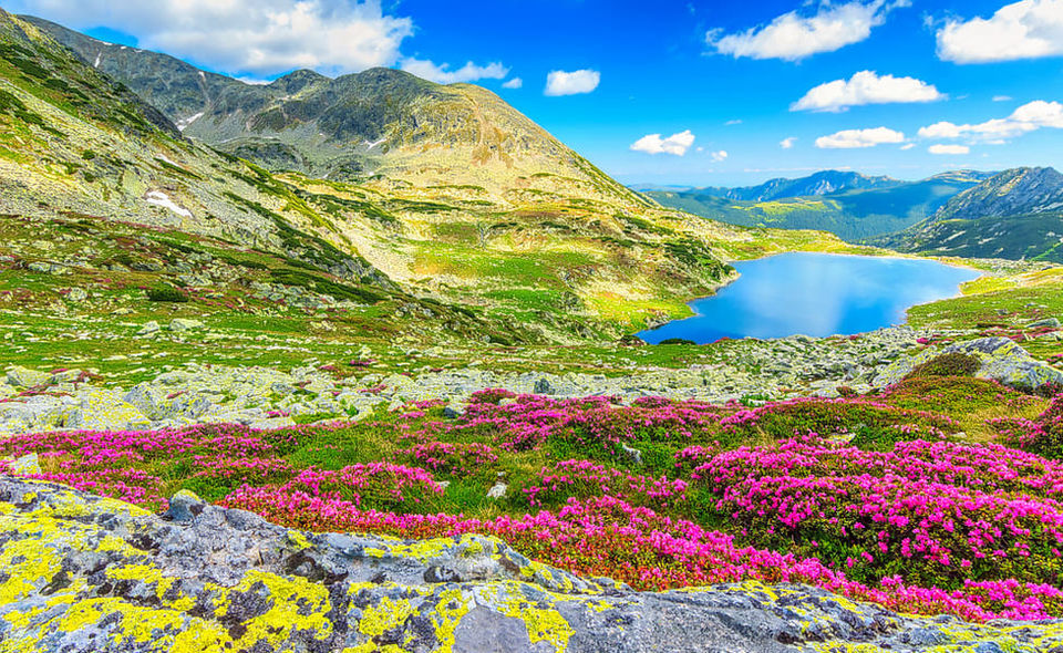 Photo of Valley Of Flowers Trek by Baaromaas Travel