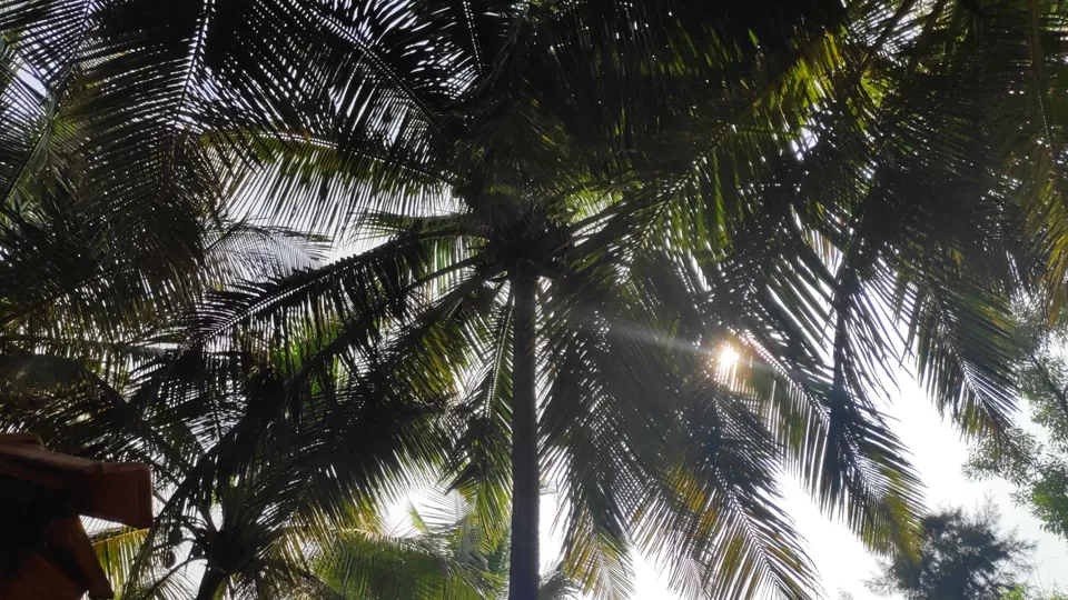 Photo of Gokarna by Shivani Tiwari