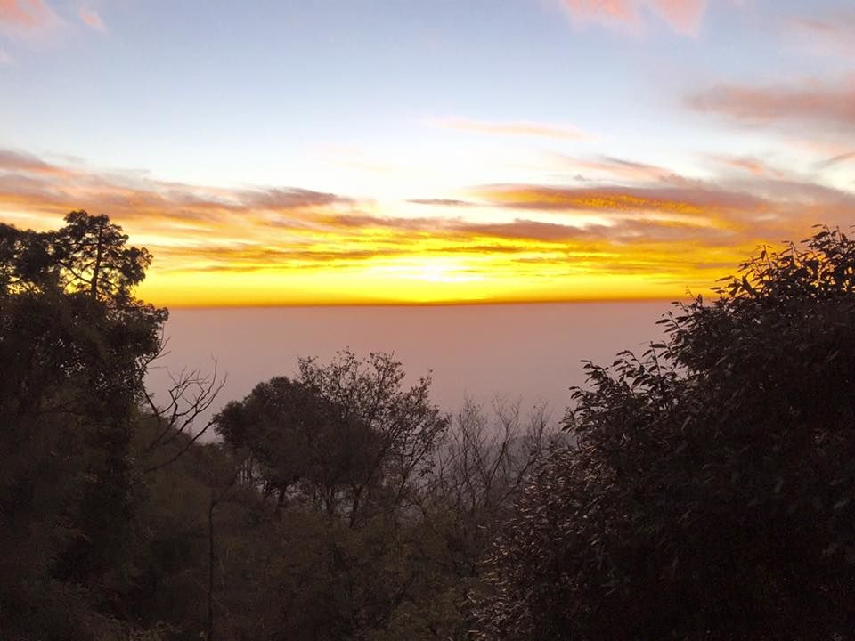 Photo of Into the Woods & Fresh Air : Kasauli 1/12 by Sanchita Jain Yadav