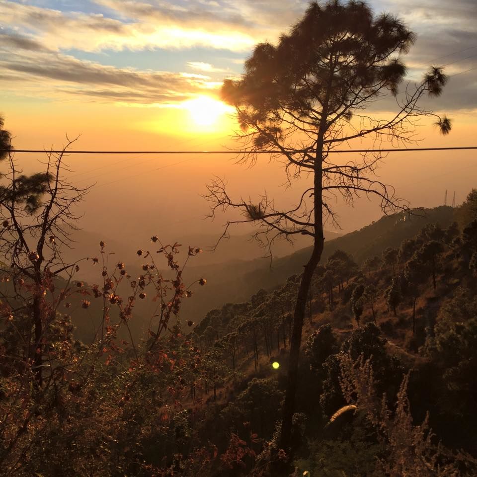 Photo of Into the Woods & Fresh Air : Kasauli 2/12 by Sanchita Jain Yadav