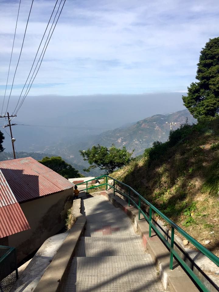 Photo of Into the Woods & Fresh Air : Kasauli 5/12 by Sanchita Jain Yadav
