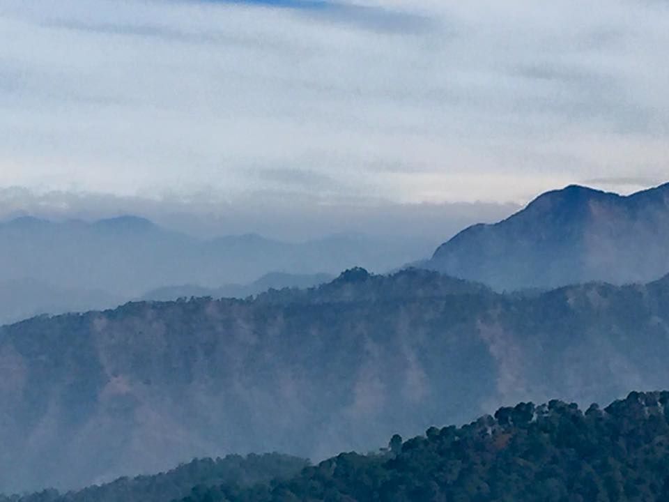 Photo of Into the Woods & Fresh Air : Kasauli 6/12 by Sanchita Jain Yadav