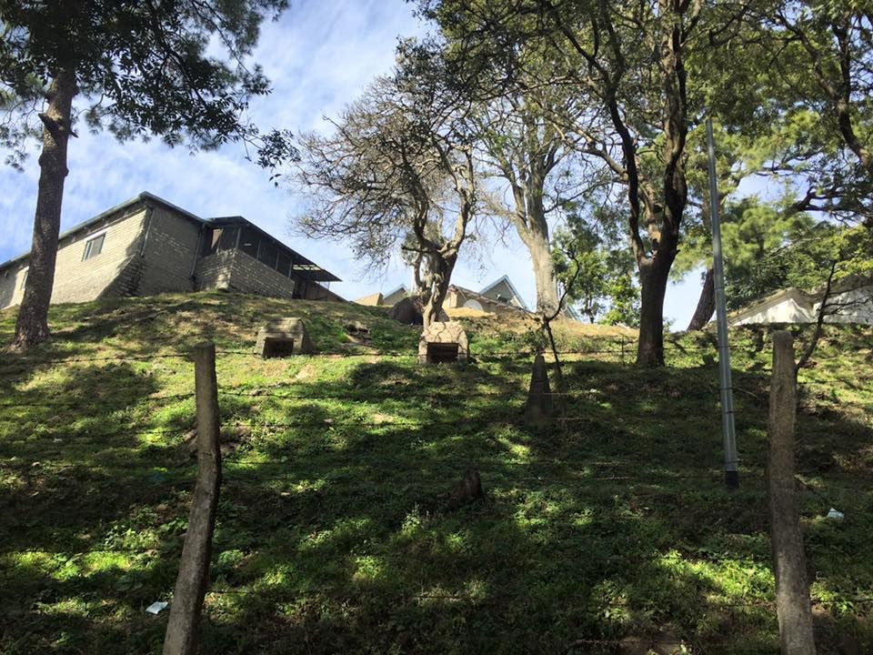 Photo of Into the Woods & Fresh Air : Kasauli 9/12 by Sanchita Jain Yadav