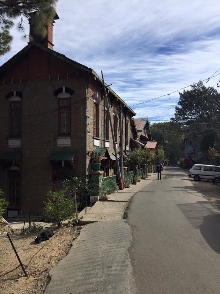 Photo of Into the Woods & Fresh Air : Kasauli 11/12 by Sanchita Jain Yadav