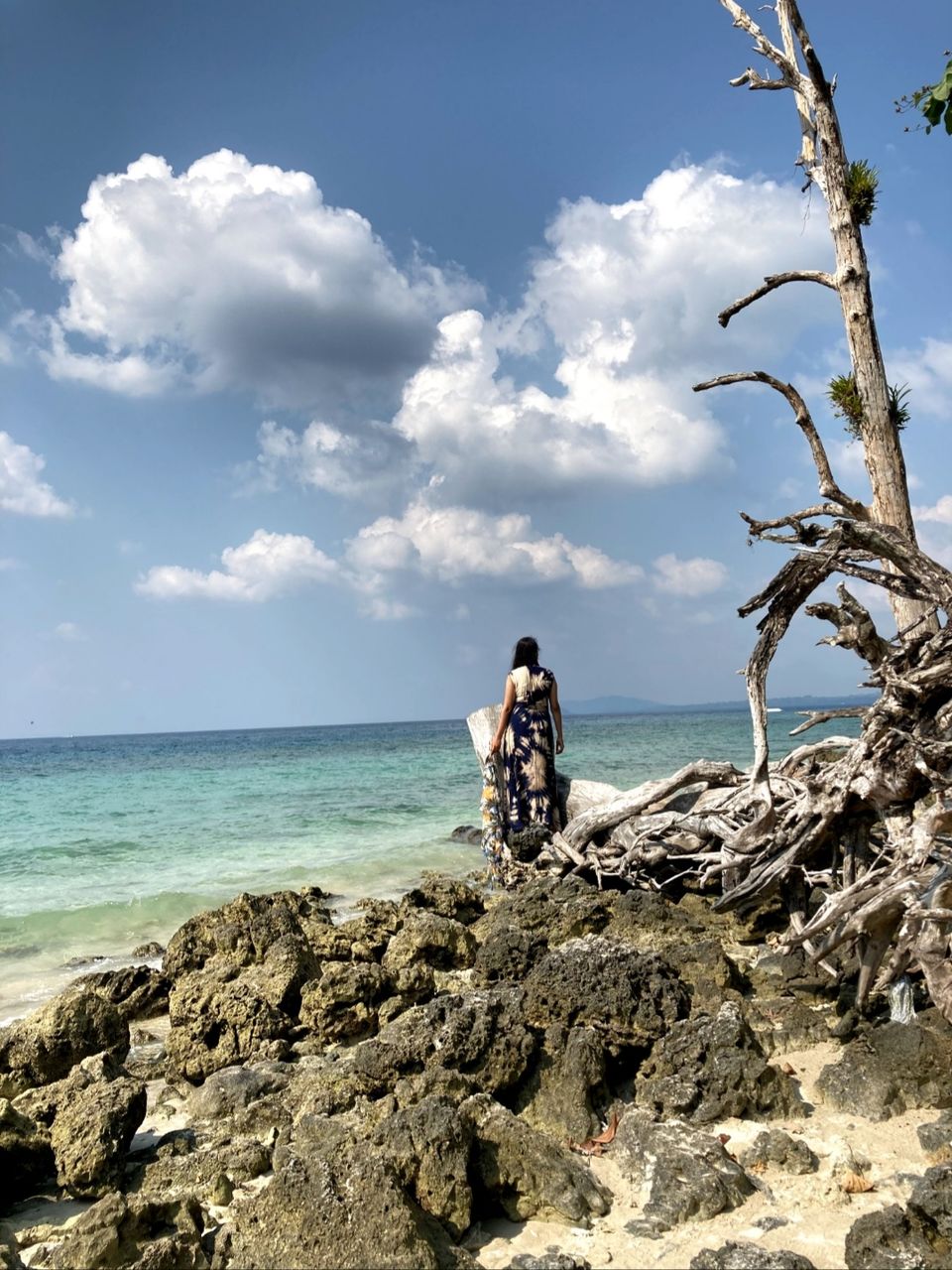 Photo of Trip to India's Tropical Island Paradise : The Andamans 1/10 by Neha Choudhary