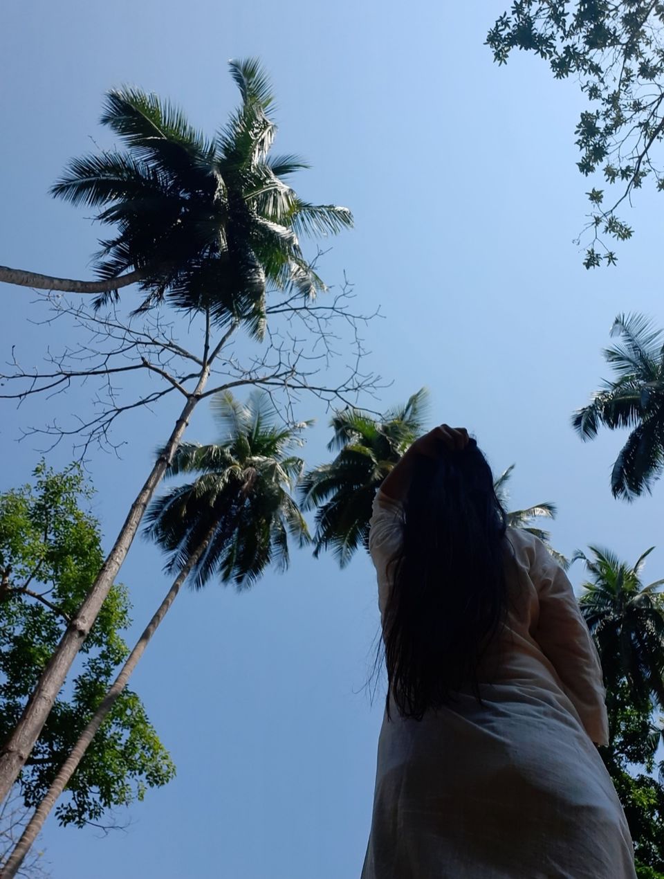 Photo of Trip to India's Tropical Island Paradise : The Andamans 7/10 by Neha Choudhary