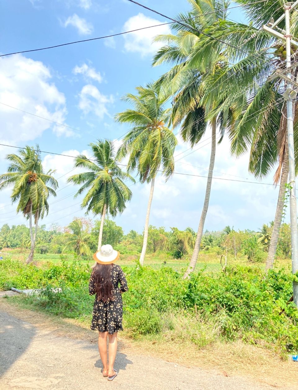 Photo of Trip to India's Tropical Island Paradise : The Andamans 9/10 by Neha Choudhary