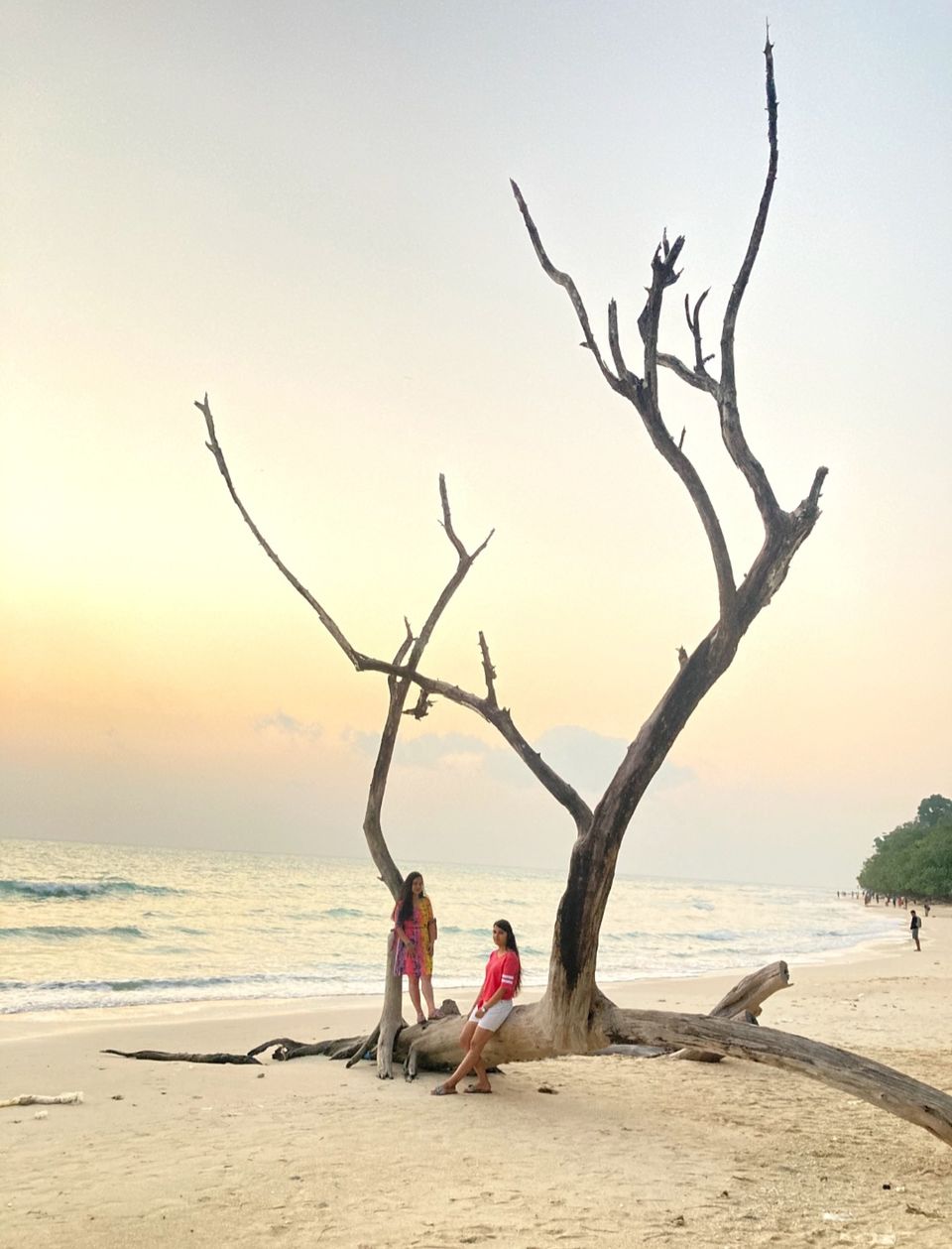 Photo of Havelock Island, Andaman and Nicobar Islands by Neha Choudhary