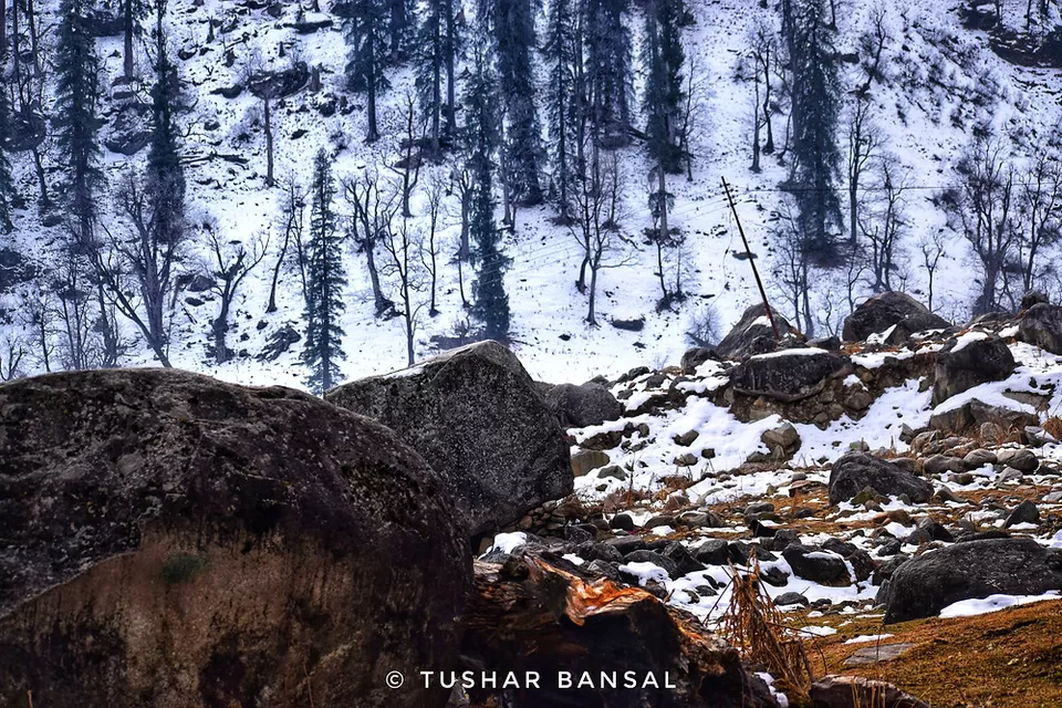 Photo of Solang, Himachal Pradesh, India by Tushar Bansal