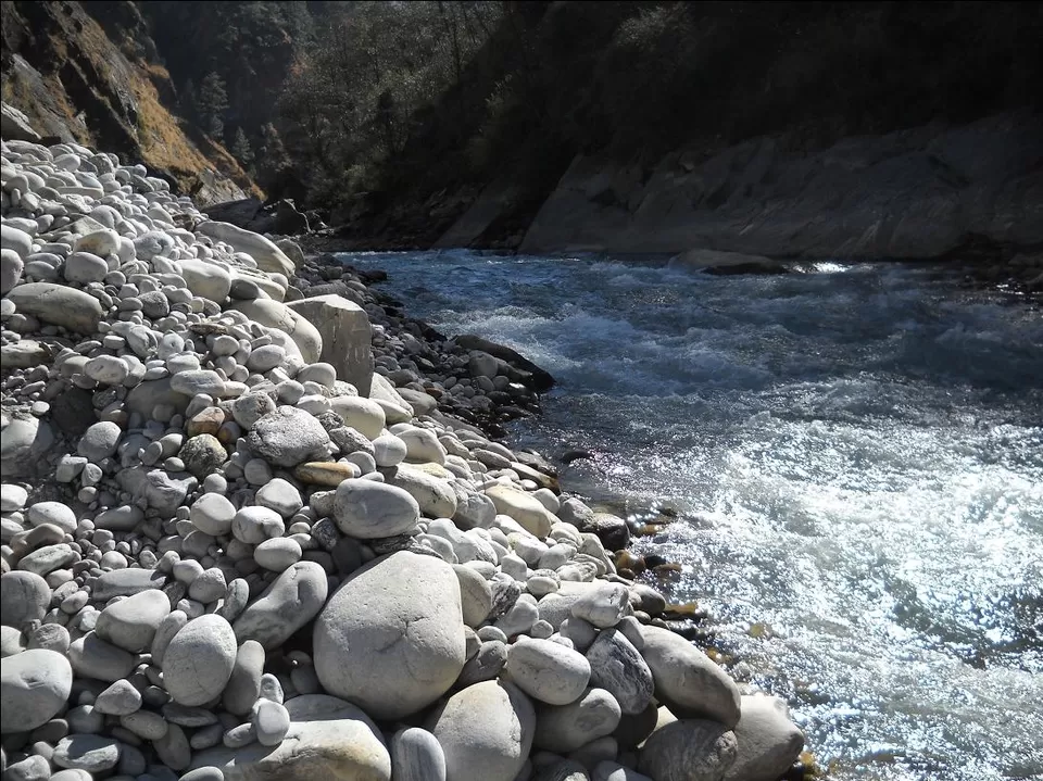 Photo of Tapovan by Roaming Mayank