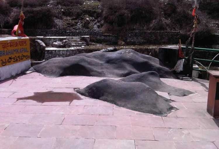 Photo of Bramha Kapal by Roaming Mayank