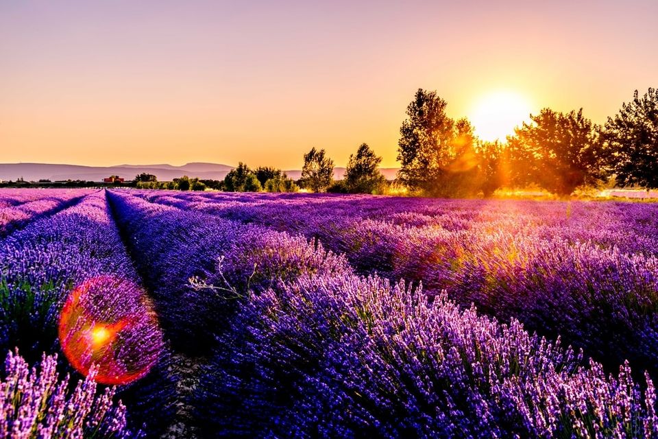 Photo of France by Roaming Mayank