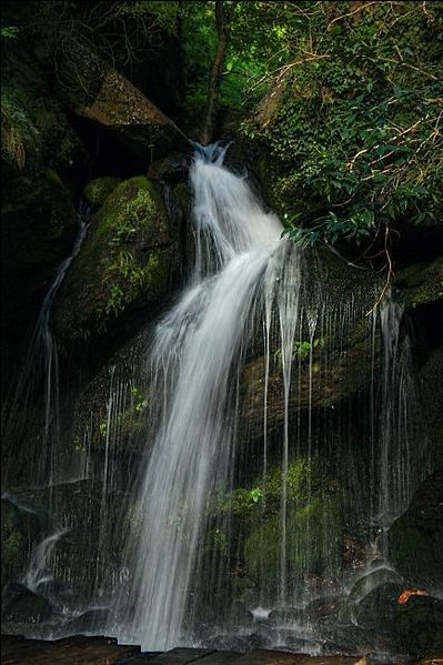 Photo of एक हफ्ते में कैसे करें हिमाचल की बेहतरीन यात्रा by Roaming Mayank