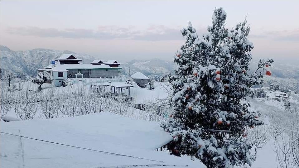 Photo of Karsog Valley by Roaming Mayank