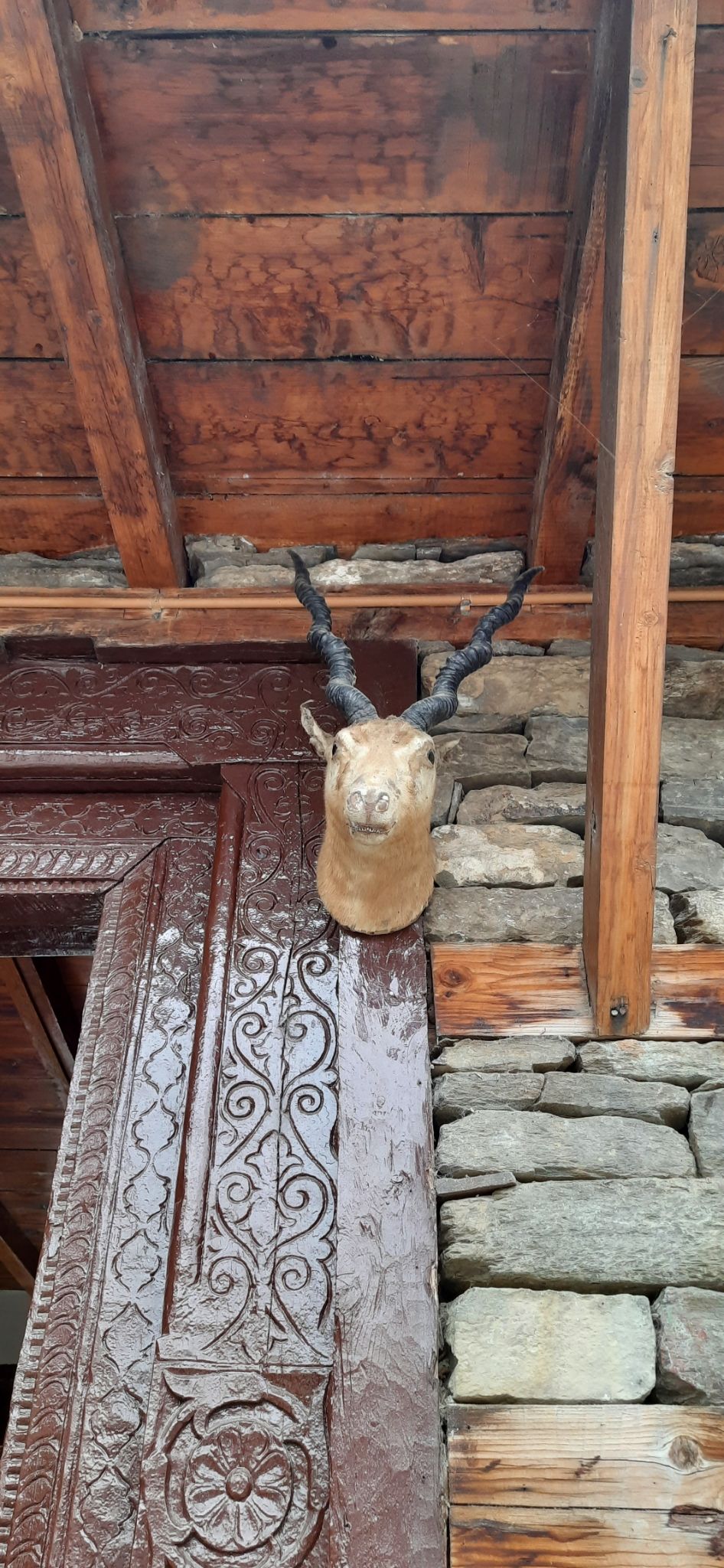 Photo of Naggar Castle by Roaming Mayank