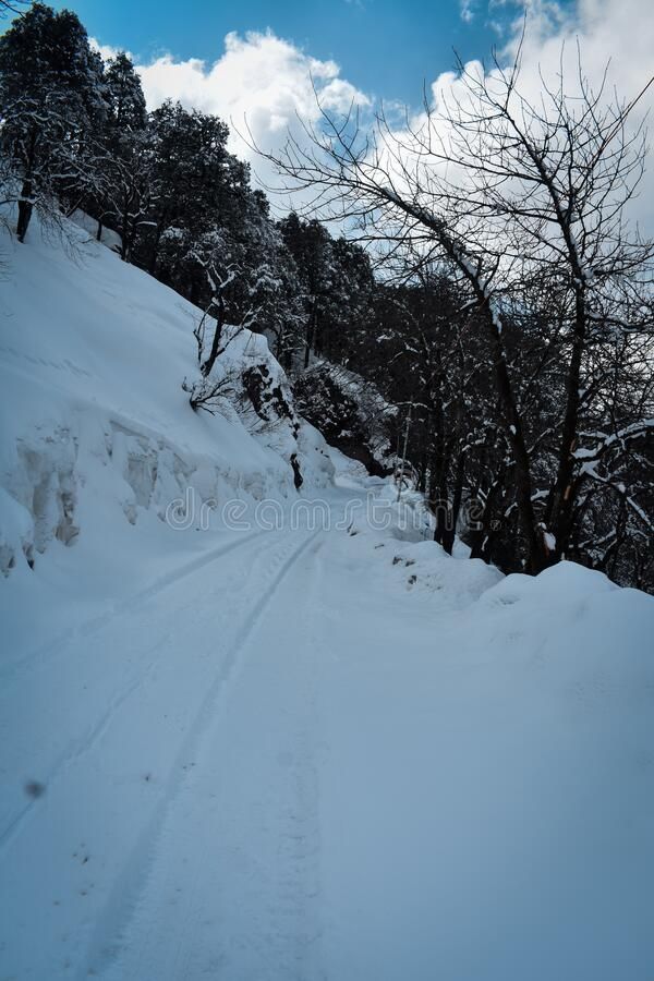 Photo of Jalori Pass by Roaming Mayank