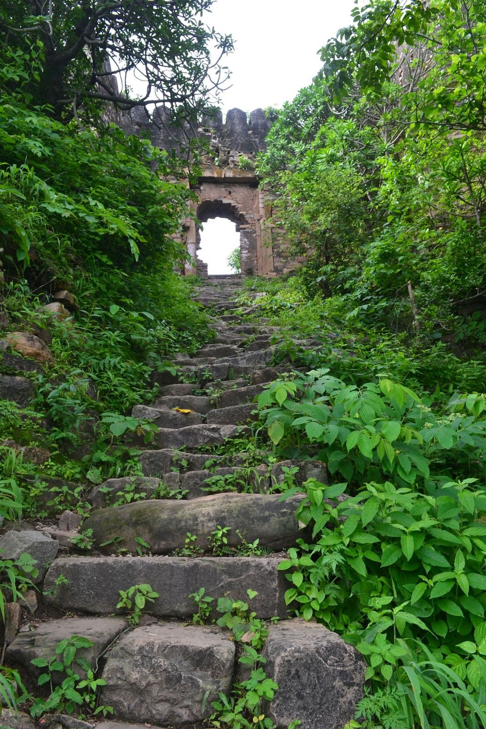 Photo of Vijaygarh Fort by Roaming Mayank