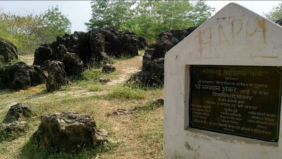 Photo of Salkhan Fossils Park by Roaming Mayank