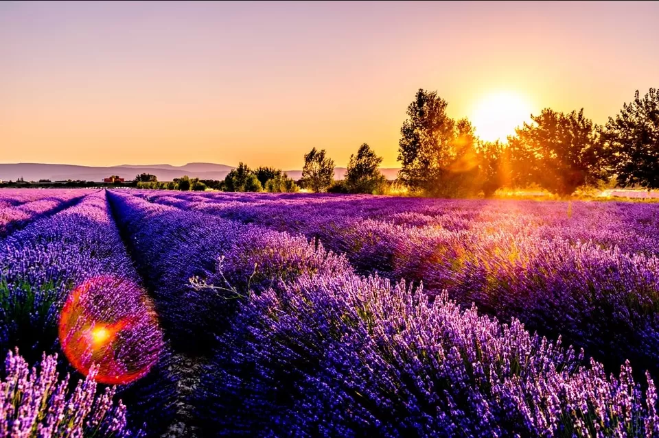 Photo of Provence by Roaming Mayank