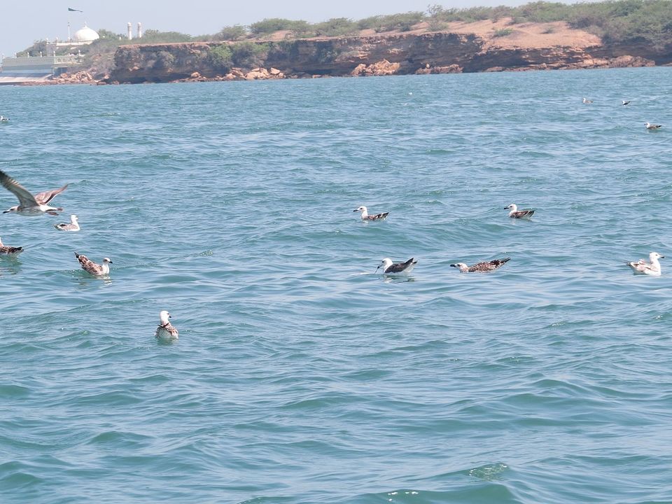 Photo of Bet Dwarka by Roaming Mayank