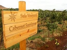 Photo of Just Before Monsoon : Hit Sula Vineyard 6/6 by Shradha Singh