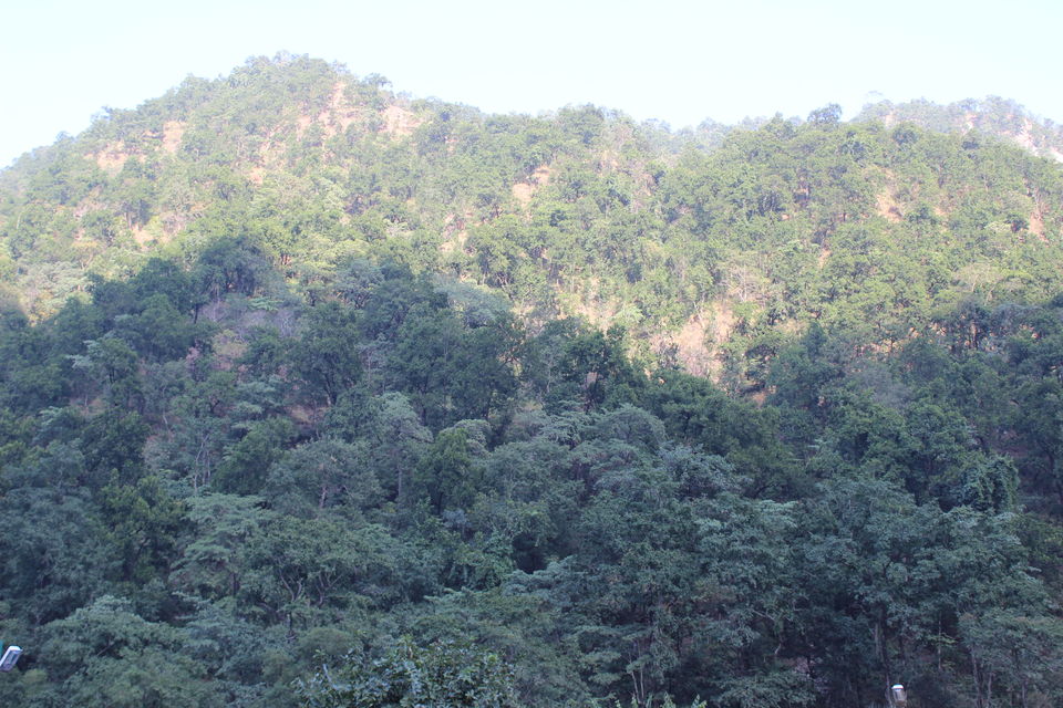 Photo of Trip to Rishikesh 2/9 by Prithvi Patchigolla