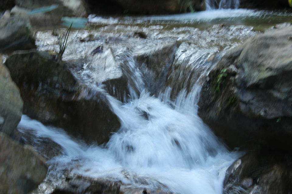 Photo of Trip to Rishikesh 4/9 by Prithvi Patchigolla