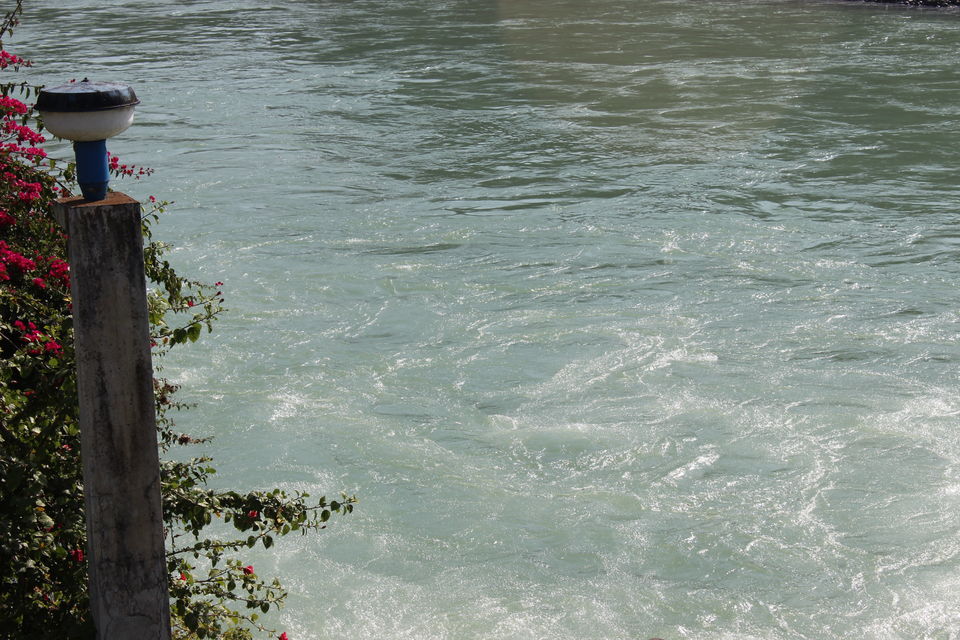 Photo of Trip to Rishikesh 9/9 by Prithvi Patchigolla