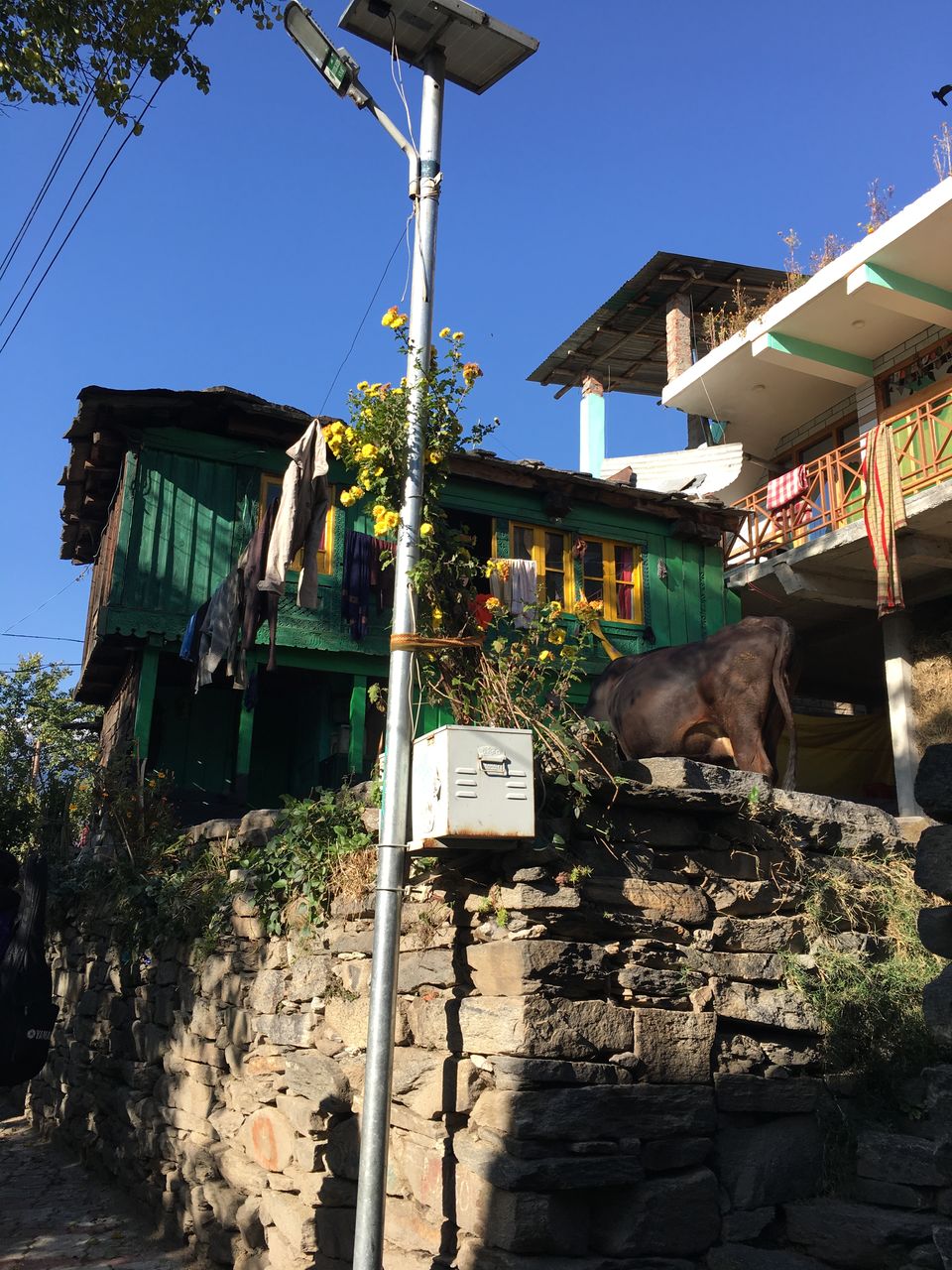 Photo of Manali: Untouched by the Pandemic by Sejal Sharma