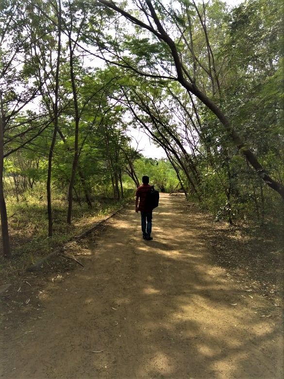 Photo of A laidback December day-out in Hyderabad Botanical Garden by Sukanya Saha