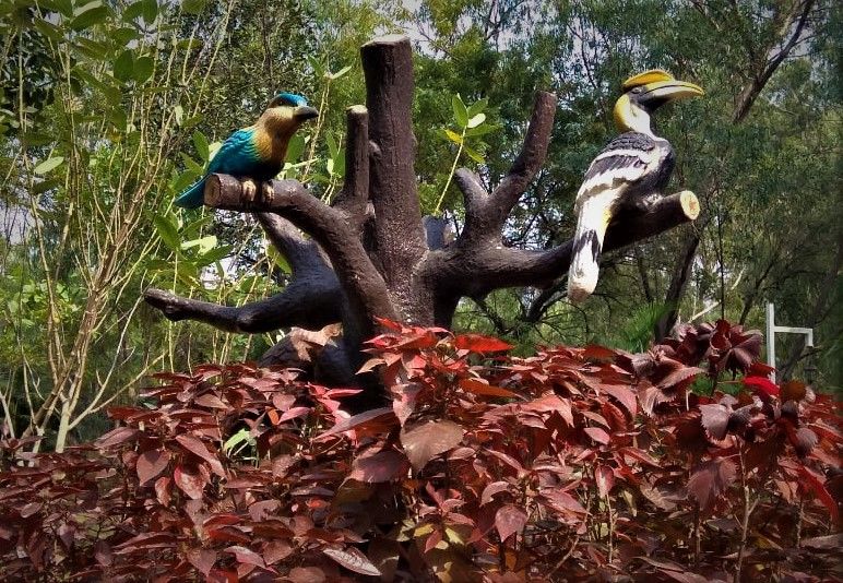Photo of A laidback December day-out in Hyderabad Botanical Garden 1/12 by Sukanya Saha