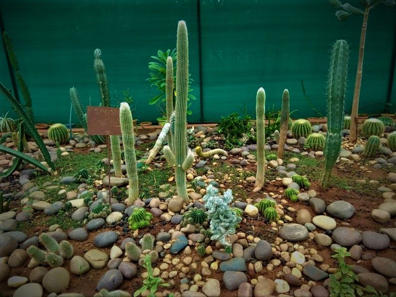 Photo of A laidback December day-out in Hyderabad Botanical Garden 9/12 by Sukanya Saha