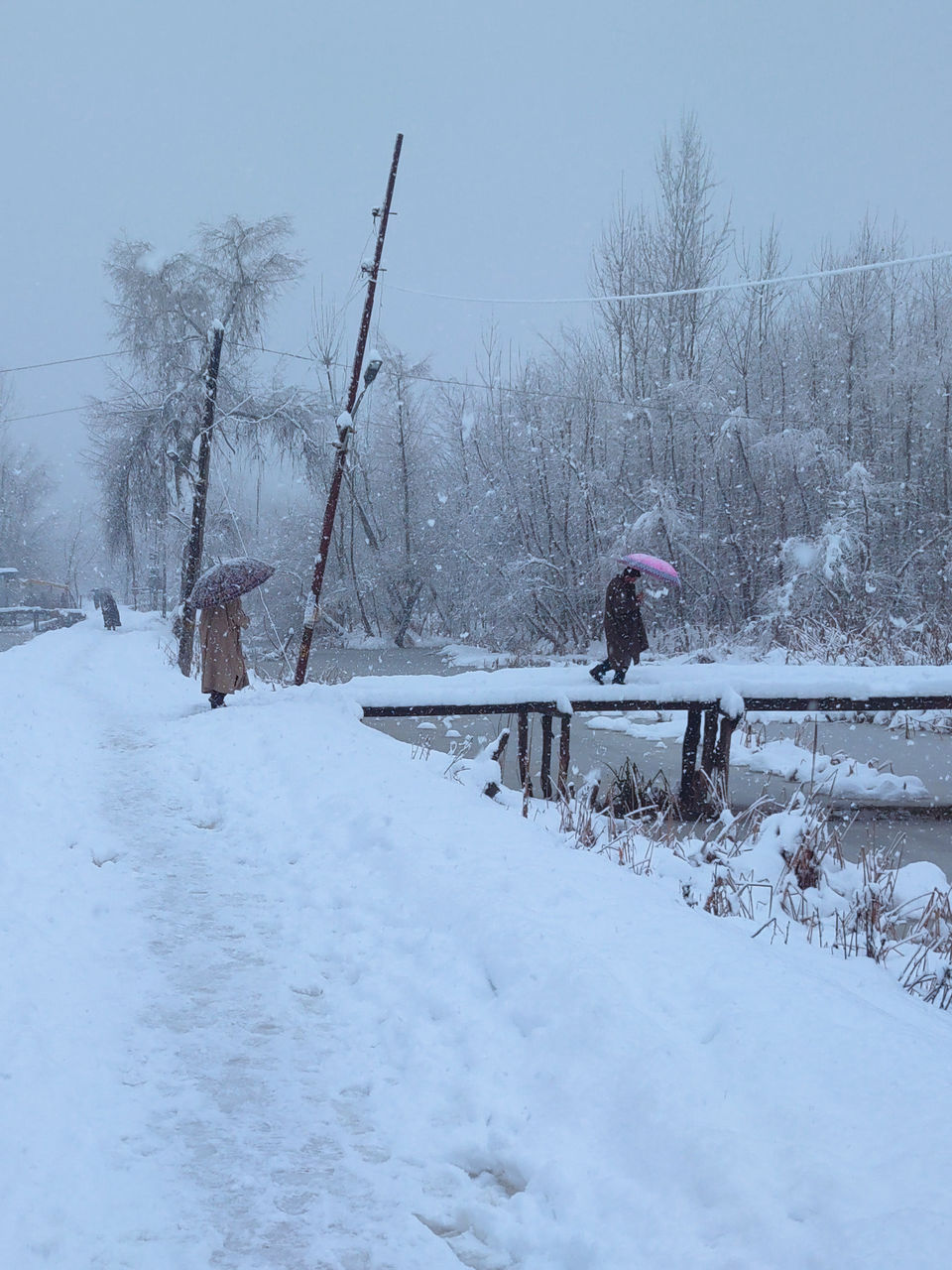 Photo of Srinagar by Mohammad Abbass Kand