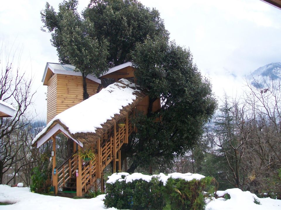 Photo of Vijayendra Singh , Manali by Anvi