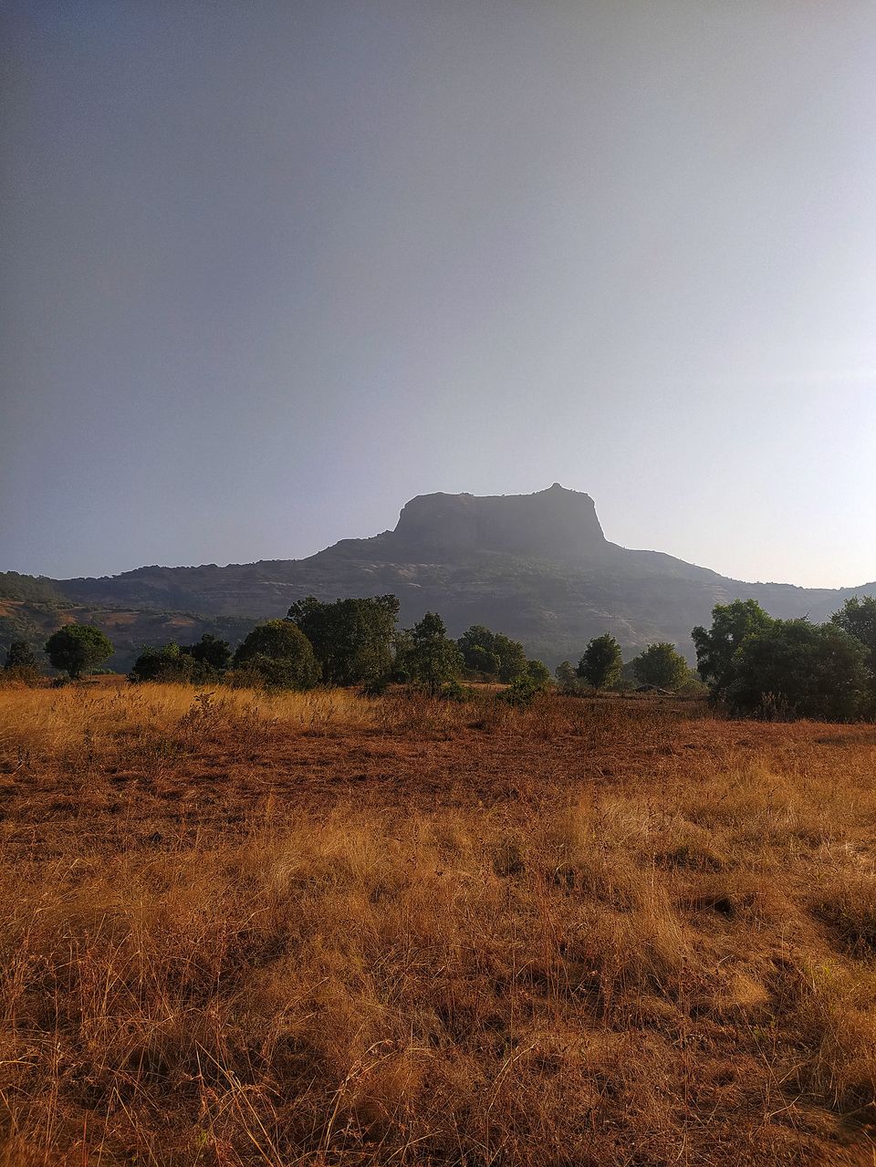 Photo of The one Day Trek on HARIHAR FORT #UltimateDilemma by Mukesh Jawale