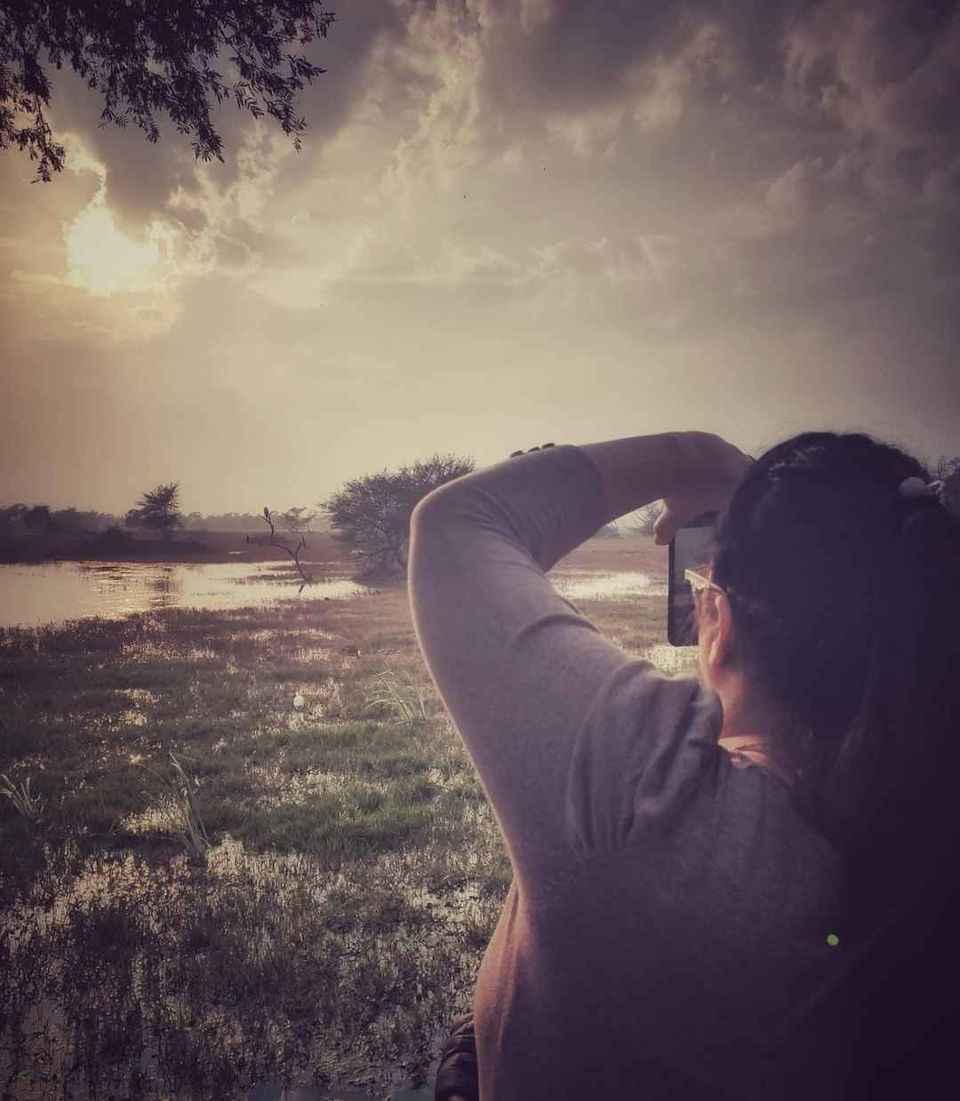 Photo of Bharatpur Bird Sanctuary, Road, Bharatpur, Rajasthan, India by Divya Vaswani