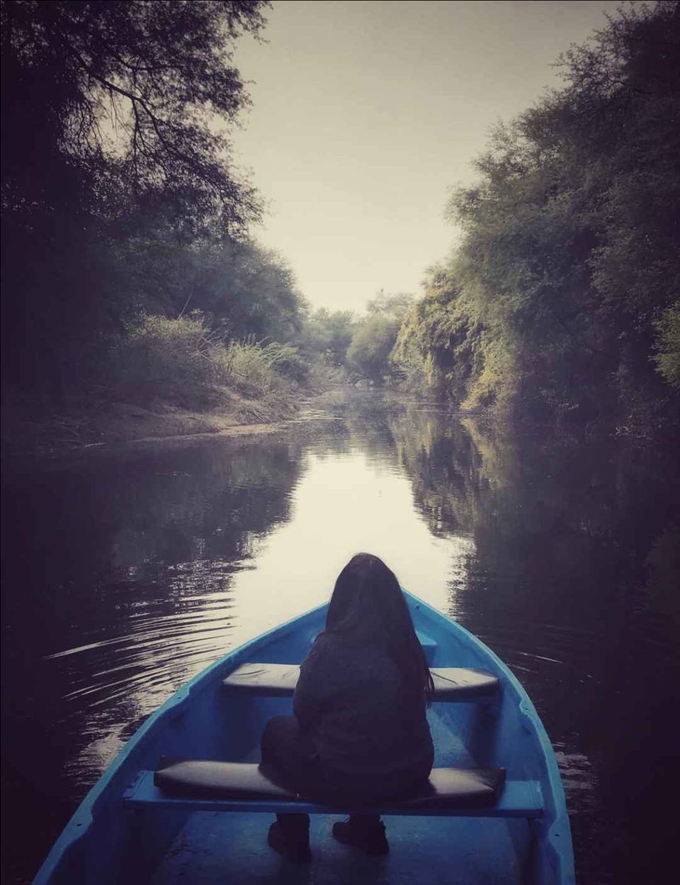 Photo of Bharatpur Bird Sanctuary, Road, Bharatpur, Rajasthan, India by Divya Vaswani