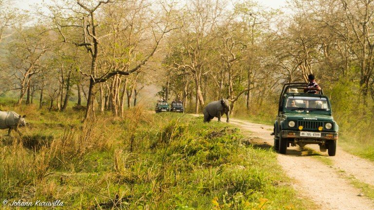 Photo of Assam: Gateway to the North East 5/7 by Johann Binny Kuruvilla